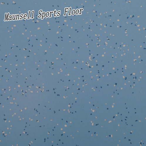 Top Quality PVC/Homogeneous Flooring for Airport/Train/Subway/Transport Areas Image1