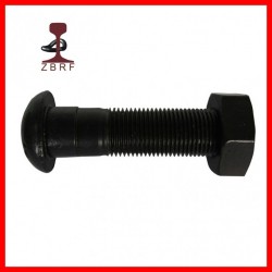 Oval Head Fish Bolt/ Track Bolt