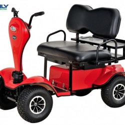 Ce Double Seat Mini Electric Golf Cart with 24V 1500W Motor Dm800