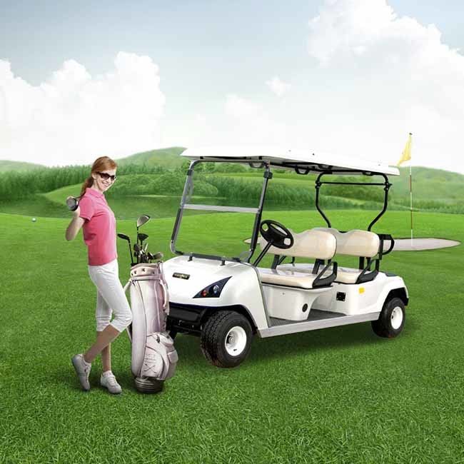 Electric 4 Seater Marshell Golf Cart (DG-C4) with Ce Image1