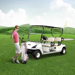 Electric 4 Seater Marshell Golf Cart (DG-C4) with Ce