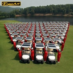 2 Seater Electric Golf Cart Solar Golf Buggy Cart