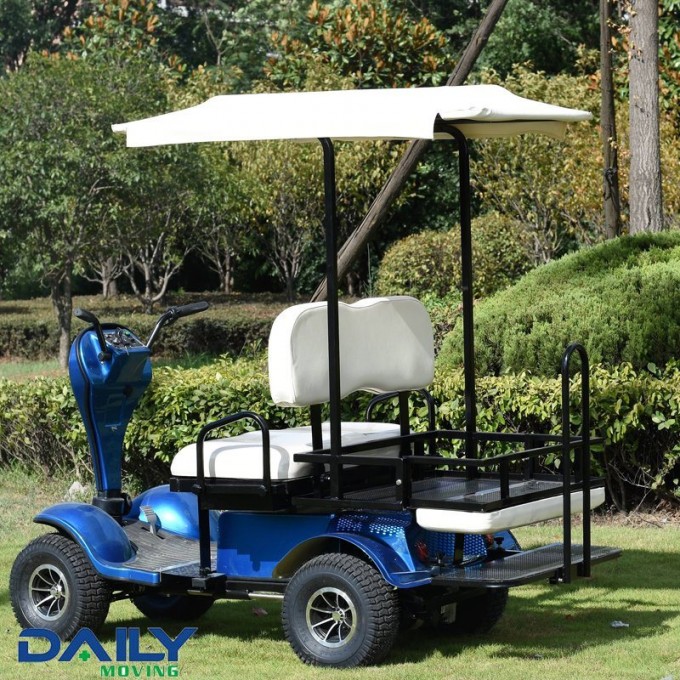 Ce Mini Double Seat Electric Golf Cart 36V 1600W with Tops and Big Rear Basket Image1