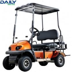 Double Seat Electric Golf Cart with 36V 1600W Motor