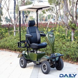 High Quality 1300W 24V Electric Golf Cart