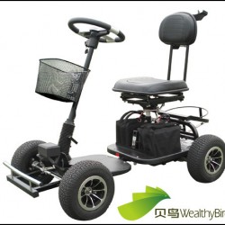 800W Electric Trekker Golf Cart 413G-3