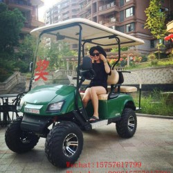4 Seaters Mini Electric Golf Carts for Wholesale