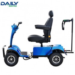 Single Seat Electric Golf Cart/Buggy with Programmable Electric Controller