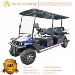 4+2 Seater Four Wheel Disc Brakes Rechargeable Battery Electric Golf Cart