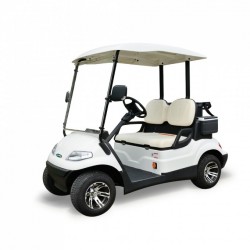 Ce Approved 2 Seaters Electric Golf Cart (LT-A627.2)