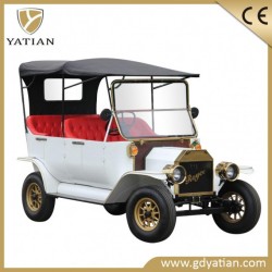 Personal Cheap Electric Golf Buggy Cart with Door
