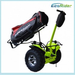 Airport 2 Wheel Self Balance Electric Scooter Golf Cart