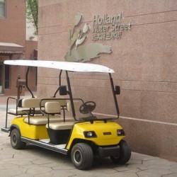 Hot Sale 6 Seaters Electric Golf Cart
