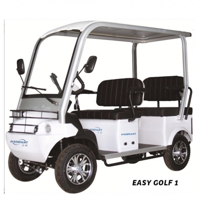 Cheap Fashion Golf Car, Mini Electric Golf Cart Image1