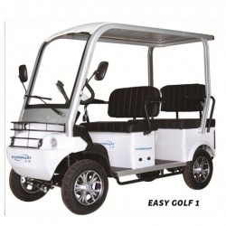 Cheap Fashion Golf Car, Mini Electric Golf Cart