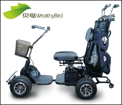 24V 800W Electric Golf Carts 413G-1 Image1