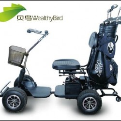 24V 800W Electric Golf Carts 413G-1