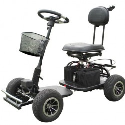 Electric Trekker Golf Cart 413G-3