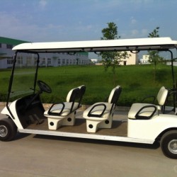 2-6 Seater Electric Golf Cart with Lithium Battery