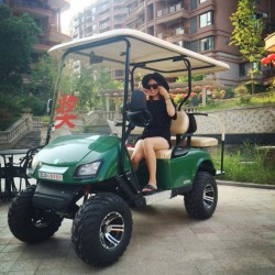 Factory 4 Seaters Electric Golf Cart with 48 Volt Battery