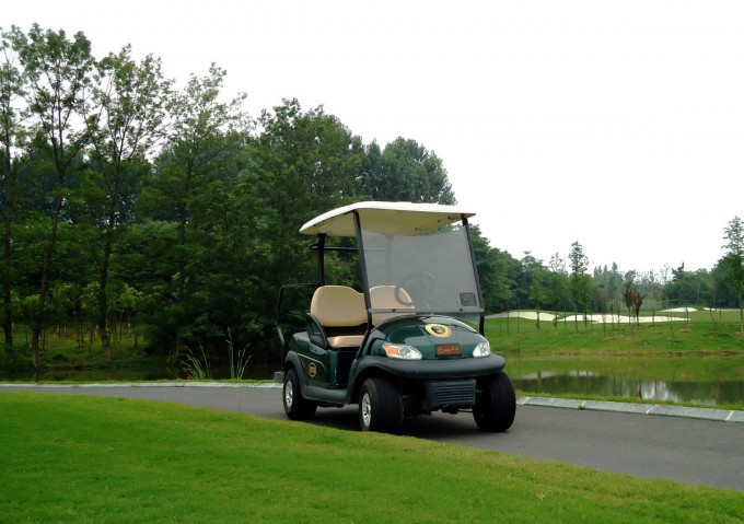 Wholesale Best Quality 2 Seater Electric Golf Cart From China Image1