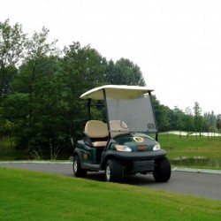 Wholesale Best Quality 2 Seater Electric Golf Cart From China