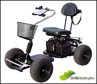 Electric Trekker Golf Cart of Zhejiang Beiniao (413G-2) Image1