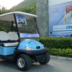 Aluminium Chassis 2 Seater Electric Golf Cart for Golf Course