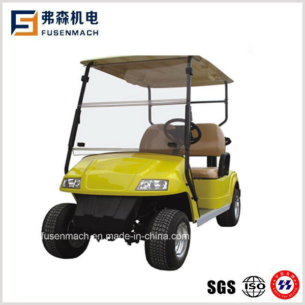 2 Seater Mini Electric Golf Carts with Ce Image1