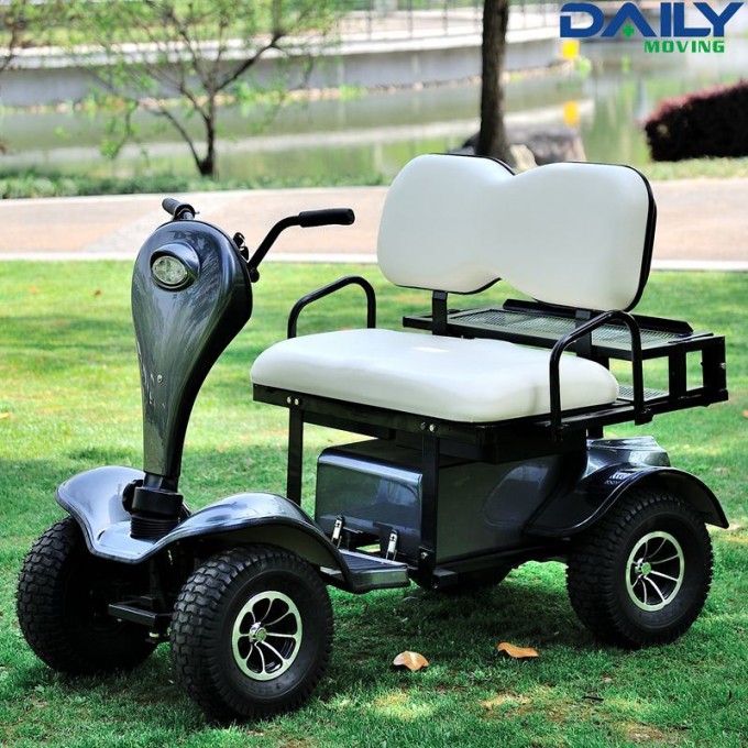 Cheap Double Seat Electric Golf Cart with Big Rear Busket Image1