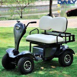 Cheap Double Seat Electric Golf Cart with Big Rear Busket
