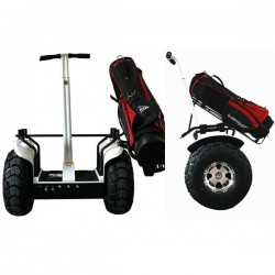 Ecorider Two Wheel Self Balance Electric Scooter Segwaying Style Golf Cart
