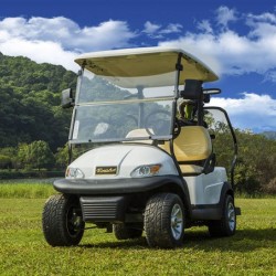 2 Seater Electric Golf Cart for Golf Course