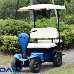 Heavy Double Seat Electric Golf Cart with 36V 1600W Motor and Front Suspension