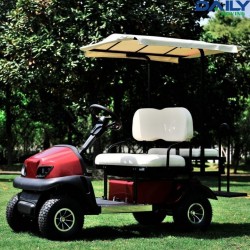 Affordable Electric Golf Cart for 2-4 People with 36V 1600W Motor