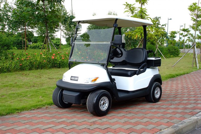 Hot Sale 2 Seater Electric Golf Cart Image1