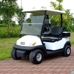 Hot Sale 2 Seater Electric Golf Cart