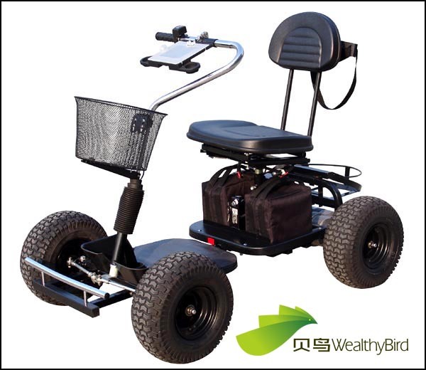 800W Single Seat Trekker Golf Cart 413G-2 Image1