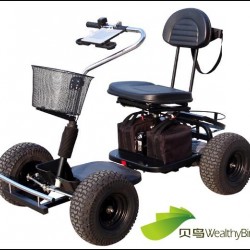 800W Single Seat Trekker Golf Cart 413G-2