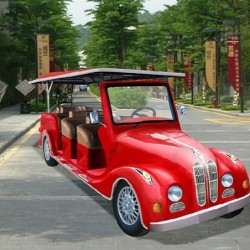 8 Passenger Electric Vintage Cart (Lt-S8. FB)