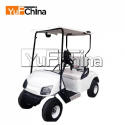 Good Quality 2 Seat Electric Golf Cart Price