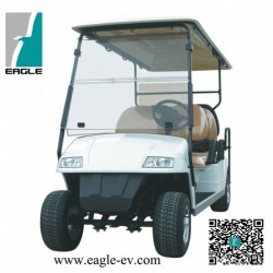 Good Shape Electric Golf Cart in White