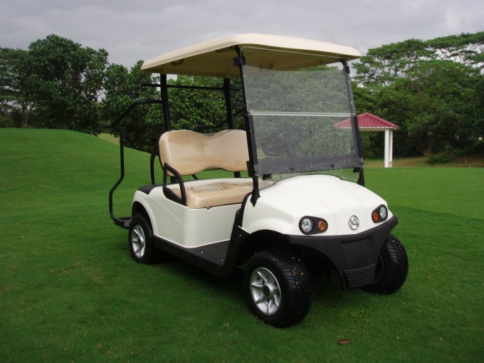 2 Seater High Quality Double Arm Independent Suspension Golf Cart with Caddy Pedal Image1