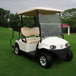 2 Seater High Quality Double Arm Independent Suspension Golf Cart with Caddy Pedal
