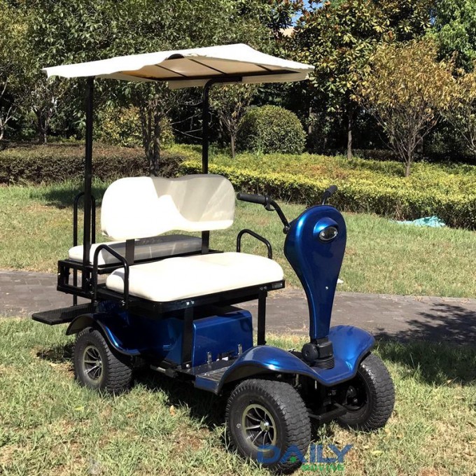 Ce Strong Power Mini Sight Seeing Cart with 36V 1600W Motor Dm800XL Image1