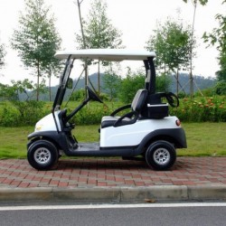 48V 4 Wheels 2 Seater Alum Chassis Electric Golf Cart