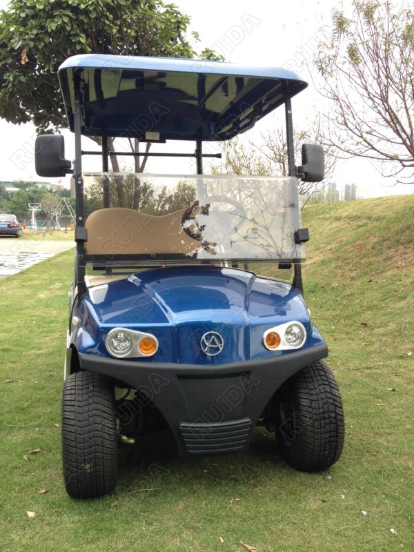 2 Seater High Quality Double Arm Independent Suspension Golf Cart with Storage Box Image1