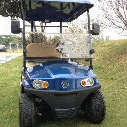2 Seater High Quality Double Arm Independent Suspension Golf Cart with Storage Box