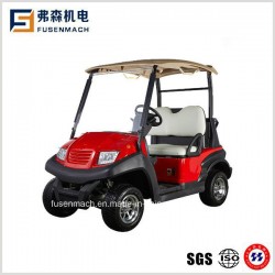 2 Seater Mini Golf Carts with Ce