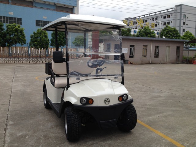 2 Seater Hot Sale Battery Operated Utility Golf Cart with Cargo Carrier Image1